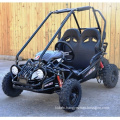 2 Seat off Road Kids Racing Mini Gas Go Kart